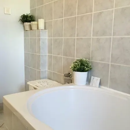 Apartment Tona Zaboric